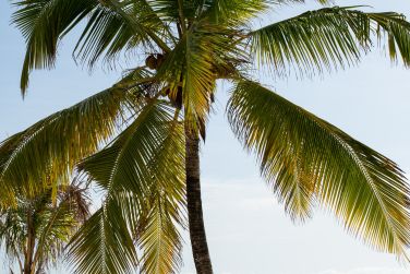 photo LUX* Marijani Zanzibar Zanzibar