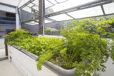 photo Origin Eco Chalet Rodrigues