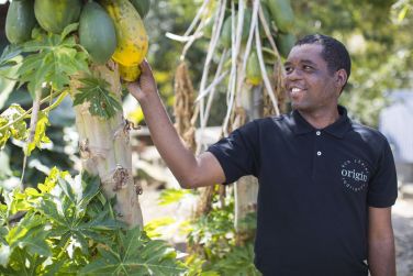 photo Origin Eco Chalet Rodrigues