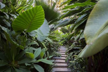 photo Ness by D-Ocean Runion