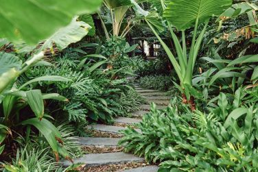 photo Ness by D-Ocean Runion