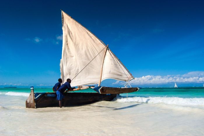 photo combin tanzanie/zanzibar - mini-safari & douceur d'une le