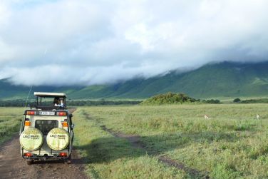 photo Combin Tanzanie/Zanzibar - Mini-safari & Douceur d'une le Tanzanie