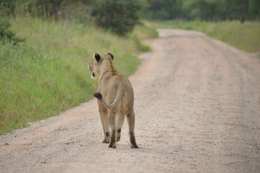 photo Combin Tanzanie/Zanzibar - Mini-safari & Douceur d'une le Tanzanie