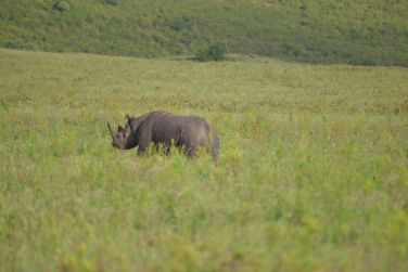 photo Combin Tanzanie/Zanzibar - Mini-safari & Douceur d'une le Tanzanie