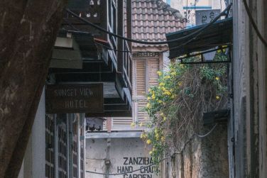 photo Combin Tanzanie/Zanzibar - Mini-safari & Douceur d'une le Tanzanie