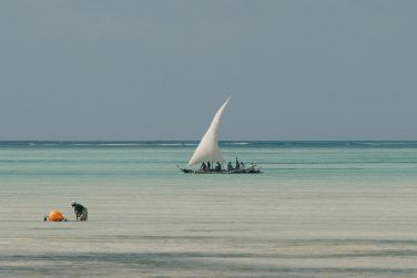 photo Combin Tanzanie/Zanzibar - Mini-safari & Douceur d'une le Tanzanie