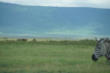 photo Combin Tanzanie/Zanzibar - Mini-safari & Douceur d'une le Tanzanie