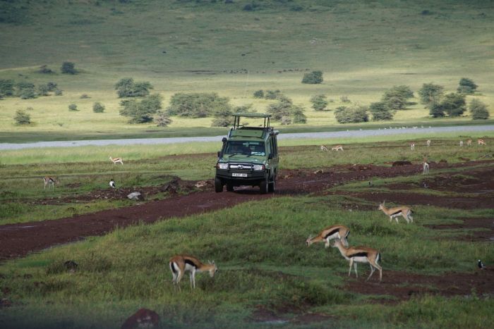 Combin Tanzanie/Zanzibar - Mini-safari & Douceur d'une le