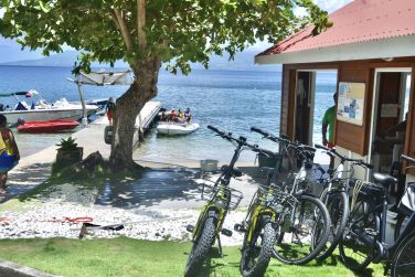 photo Bois Joli Guadeloupe