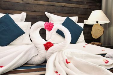 photo Bois Joli Guadeloupe