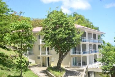 photo Bois Joli Guadeloupe