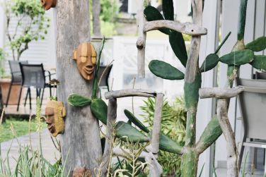 photo Bois Joli Guadeloupe