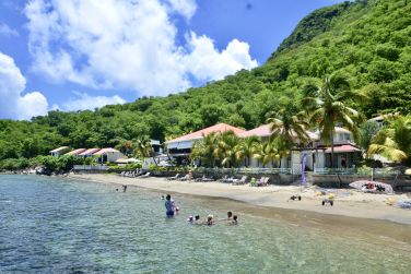 photo Bois Joli Guadeloupe