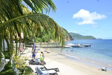 photo Bois Joli Guadeloupe