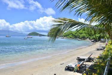 photo Bois Joli Guadeloupe