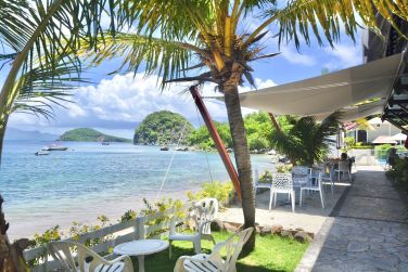 photo Bois Joli Guadeloupe