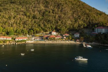 photo Bois Joli Guadeloupe