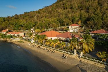 photo Bois Joli Guadeloupe