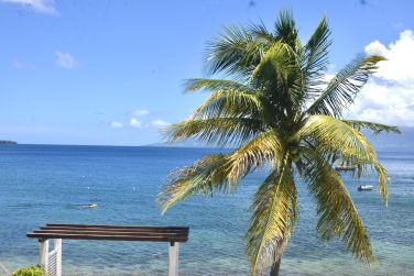 photo Bois Joli Guadeloupe