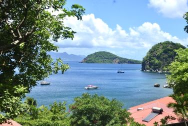 photo Bois Joli Guadeloupe