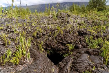 De superbes tunnels de lave forms par l'ancienne activit du volcan