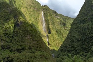 Des paysages verdoyants vous attendent