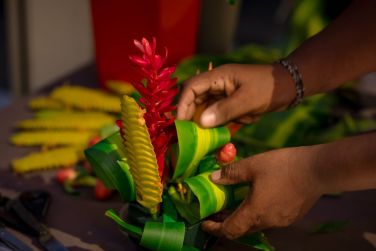 photo La Pagerie Martinique