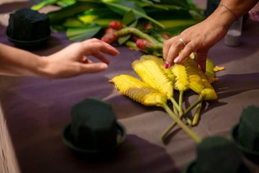 photo La Pagerie Martinique