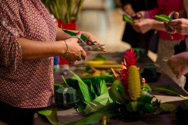 photo La Pagerie Martinique