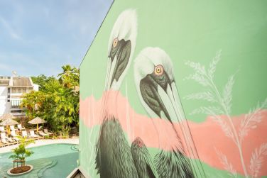 photo La Pagerie Martinique