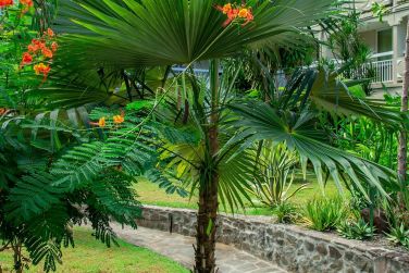 photo La Pagerie Martinique