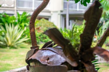 photo La Pagerie Martinique