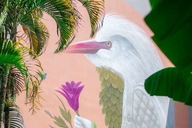 photo La Pagerie Martinique