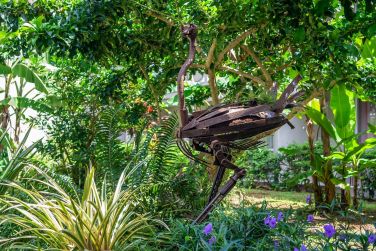 photo La Pagerie Martinique