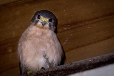 photo Hilton Seychelles Labriz Resort & Spa Seychelles