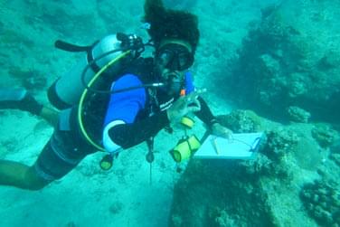 photo Hilton Seychelles Labriz Resort & Spa Seychelles