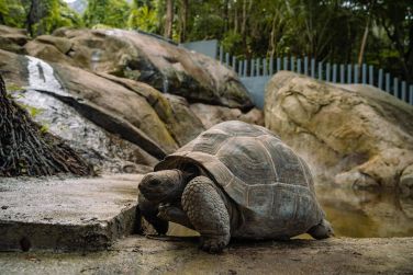 photo Hilton Seychelles Labriz Resort & Spa Seychelles