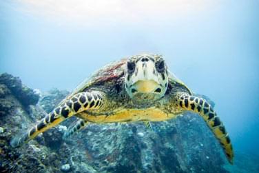 photo Hilton Seychelles Labriz Resort & Spa Seychelles