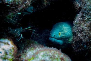 photo Hilton Seychelles Labriz Resort & Spa Seychelles