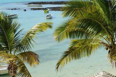 Admirez la vue sur le Coin de Mire  l'horizon...