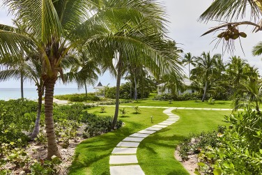 Le bar du Fig Tree, l'adresse id�al pour siroter un Bahama Mama