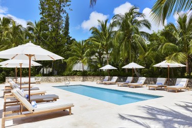 Lezardez autour de la piscine du spa