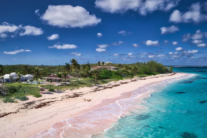 photo la bougainvillea
