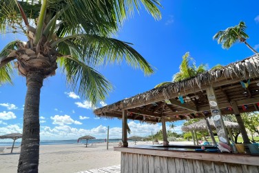 � peine quelques m�tres pour piquer une t�te