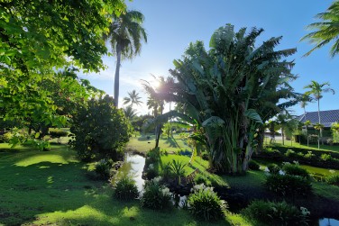 photo Lune de Miel Polyn�sienne Polyn�sie