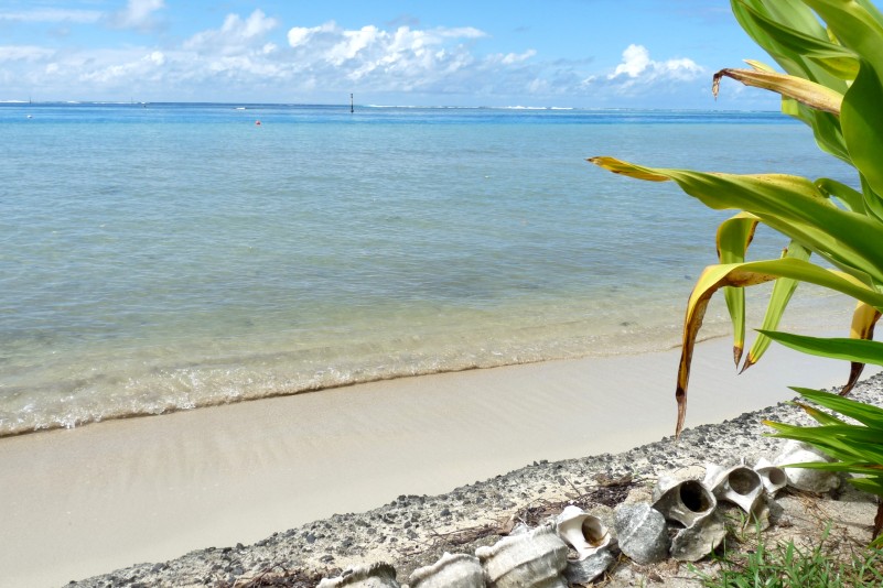 photo poerani moorea
