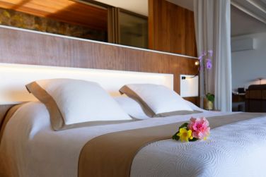 photo Blue Margouillat Seaview Hotel Runion