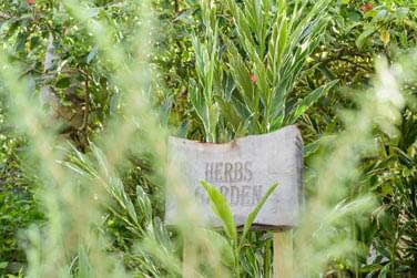 Une approche consciente du voyage grce  l'initiative 'zro dchet alimentaire'