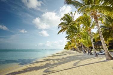 Dans un site magique domin par la majestueuse montagne du Morne Brabant, classe au patrimoine mondial de l'UNESCO